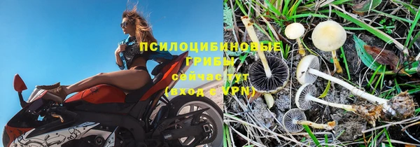 таблы Абинск