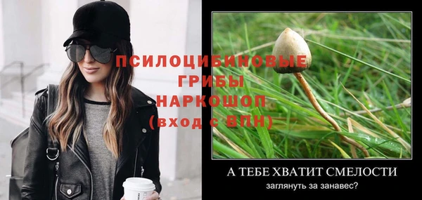 apvp Абаза