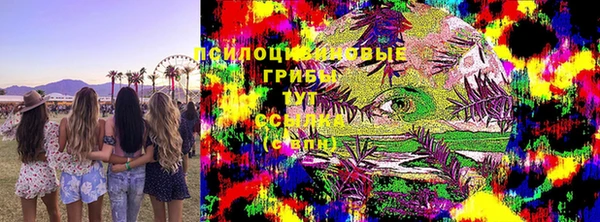 apvp Абаза