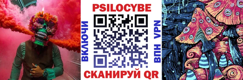 Псилоцибиновые грибы MAGIC MUSHROOMS  omg рабочий сайт  Элиста 