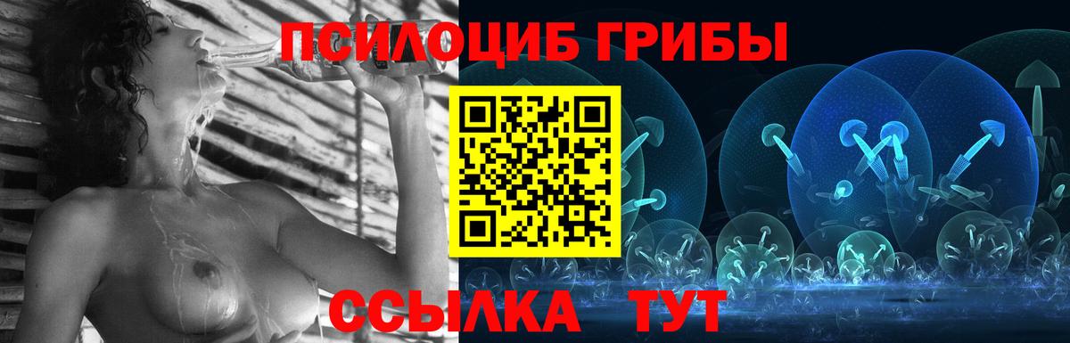Псилоцибиновые грибы GOLDEN TEACHER Элиста